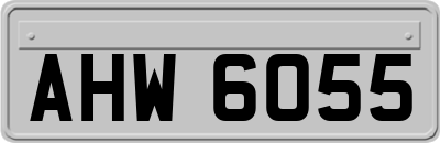 AHW6055