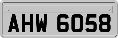AHW6058