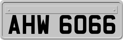 AHW6066
