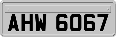 AHW6067