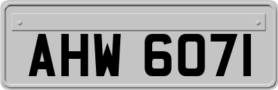 AHW6071