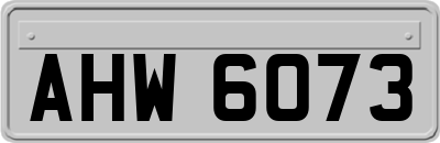 AHW6073