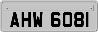 AHW6081