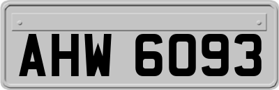 AHW6093