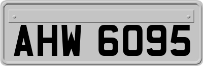 AHW6095