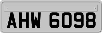 AHW6098