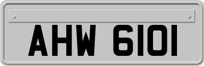 AHW6101