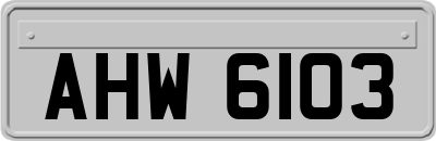 AHW6103