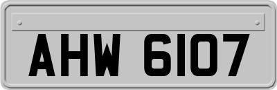 AHW6107