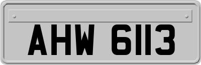 AHW6113