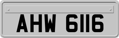 AHW6116