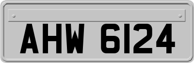 AHW6124