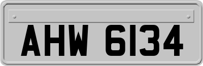 AHW6134
