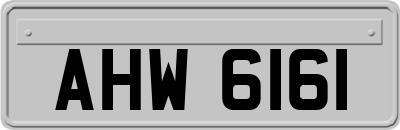 AHW6161
