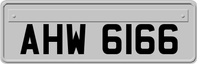 AHW6166