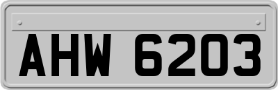 AHW6203