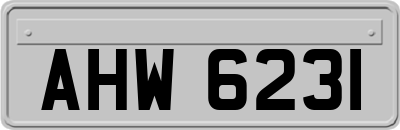 AHW6231