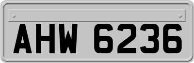 AHW6236