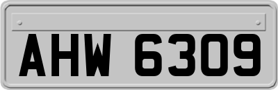 AHW6309
