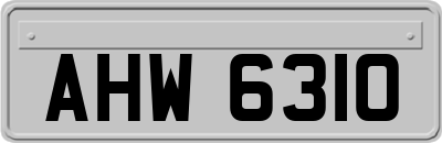 AHW6310