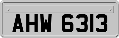 AHW6313