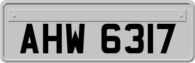 AHW6317