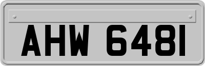 AHW6481