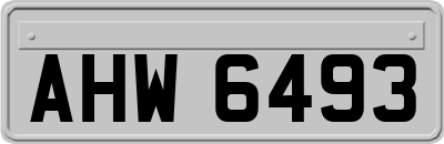 AHW6493