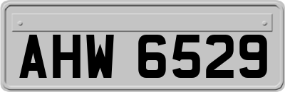 AHW6529