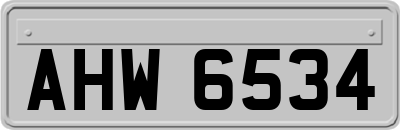 AHW6534