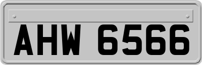 AHW6566