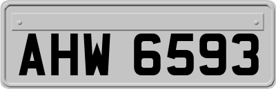 AHW6593