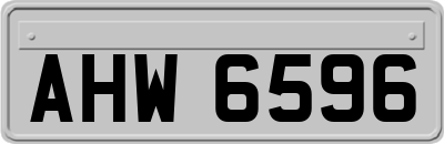 AHW6596