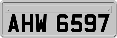 AHW6597
