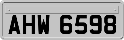AHW6598