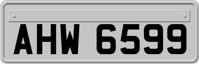 AHW6599