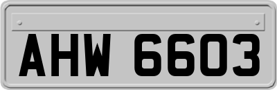 AHW6603