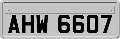 AHW6607
