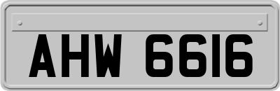 AHW6616