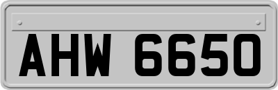 AHW6650