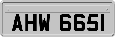AHW6651