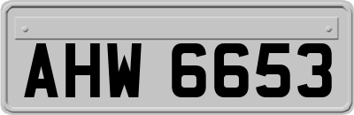 AHW6653