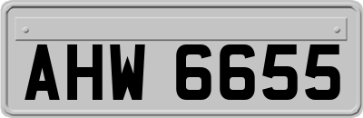 AHW6655