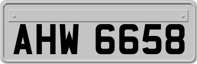 AHW6658