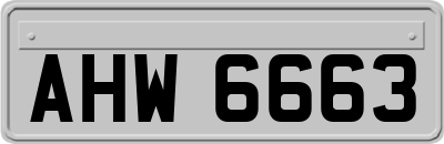 AHW6663
