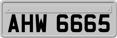 AHW6665