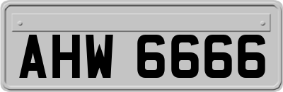 AHW6666