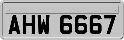 AHW6667