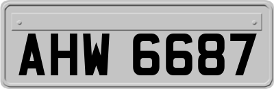 AHW6687