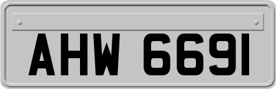 AHW6691
